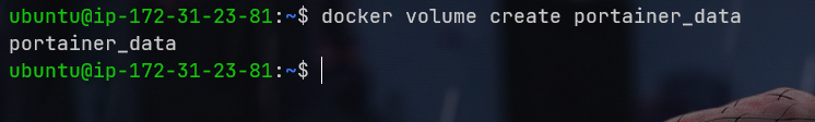 Create docker volume